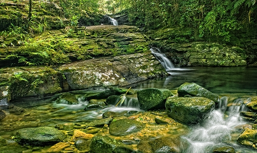 Th&aacute;c Ngũ Hồ đẹp đến m&ecirc; hồn trong vườn quốc gia Bạch M&atilde;