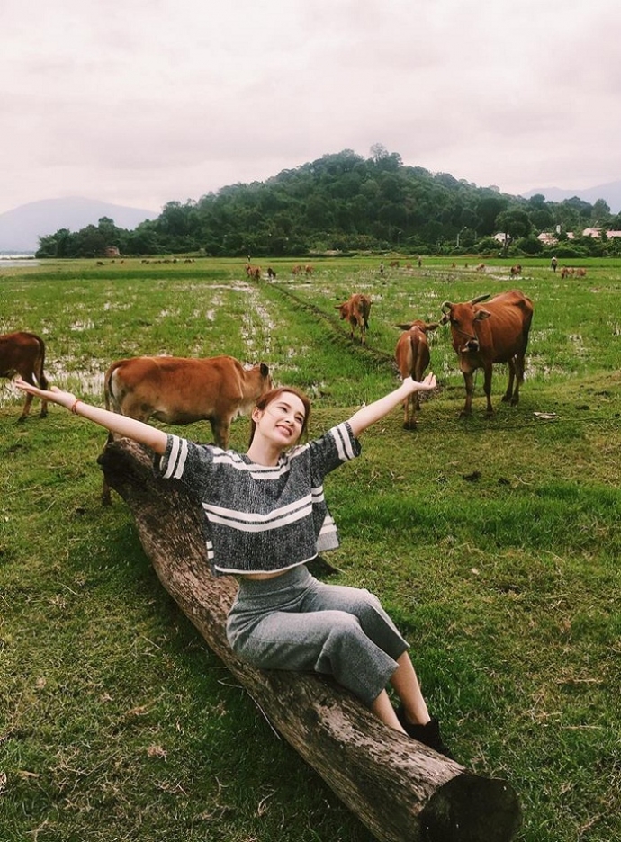 13510757_587652948079582_2305712583378503437_n