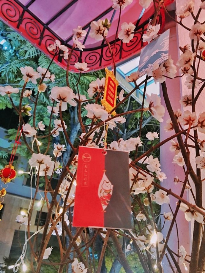 16195321_721198818038233_3807048384086700730_n