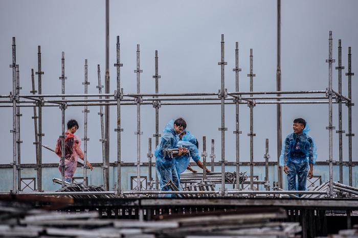 HOA HAU VIET NAM 2018 (10)