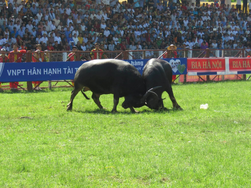 22119722_1176613619149361_55746685_o