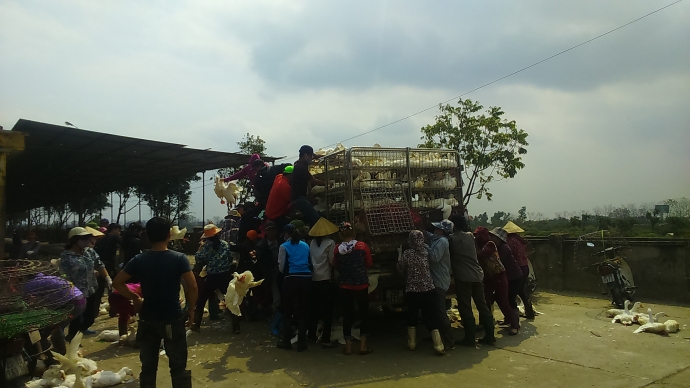 thuong lai bau len xe tranh cuop hang