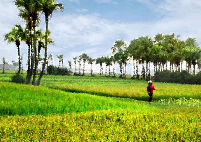 Kh&ocirc;n ăn người. Ảnh minh họa..