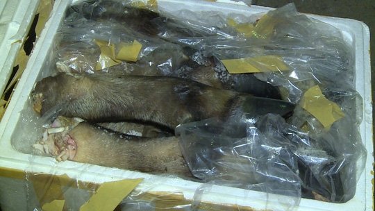 l&ocirc; h&agrave;ng thịt tr&acirc;u b&ograve; thối bị bắt giữ