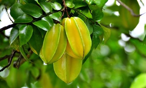 alotin.vn_1404201422_5149a93bcaf2cc4dd45af3fc37873