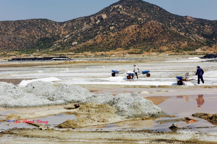 12525273_1299332216760555_3207777143780840061_o