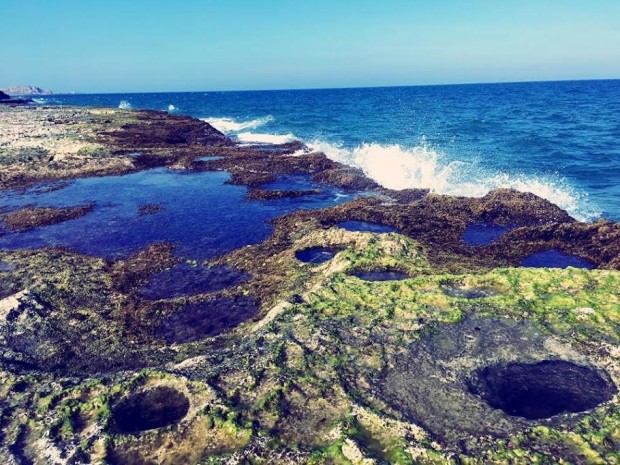 Khu đá vôi với rong biển trên Hòn Đỏ