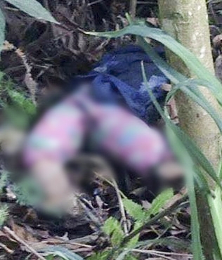 mẹ vứt x&aacute;c con ở bụi rậm