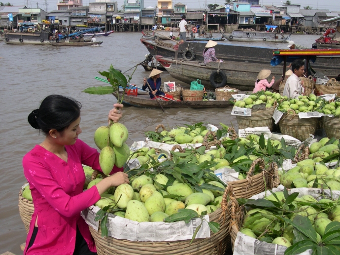 cho noi