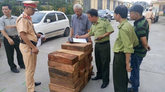 CSGT bắt gỗ lậu