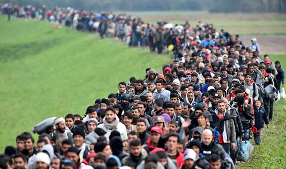 migrants-425373