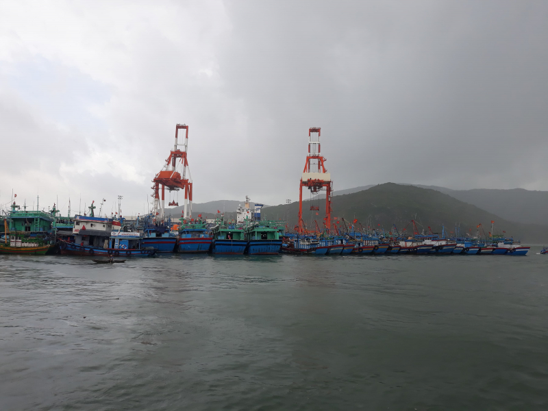 46511348_288911895092806_3591589731818799104_n