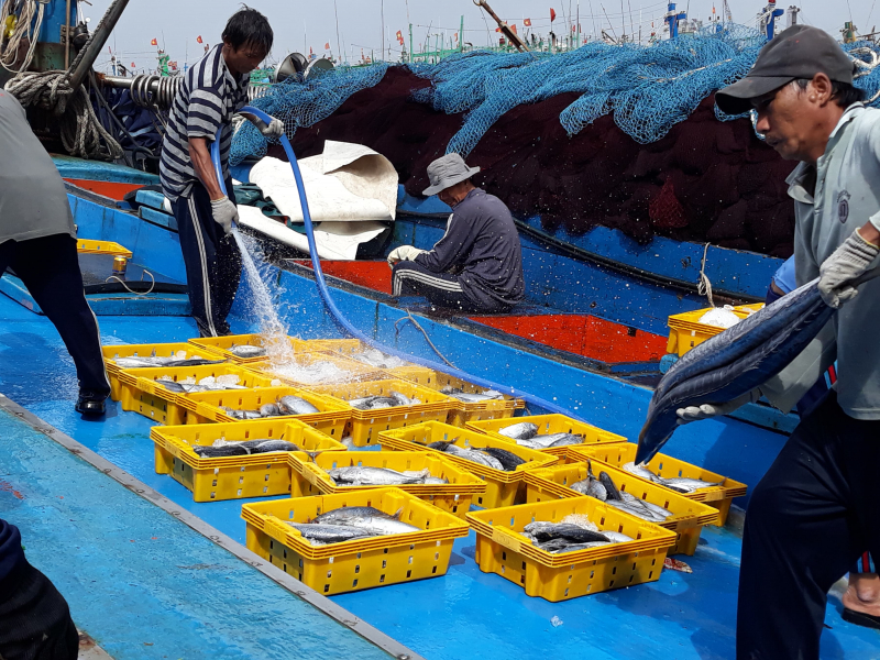 46514576_355446051856340_76521392203366400_n