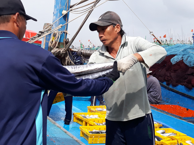 46517551_2178243892195353_1022355576845238272_n