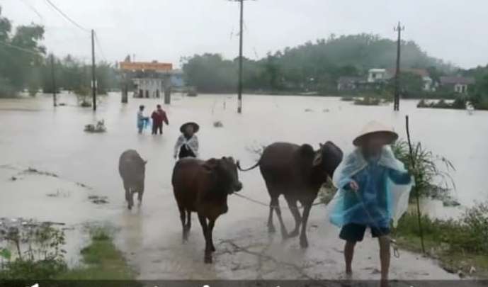 48082759_494215247769522_3511966200701648896_n