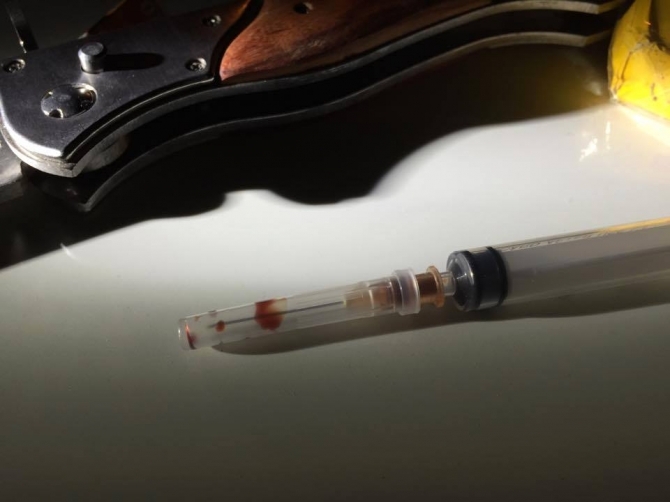 11013587_682281878567610_901726401145165505_n