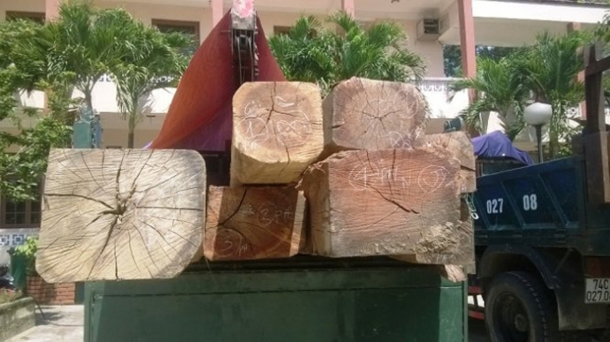 5-6-hat-truong-kiem-lam-mua-go-lau-2-1433489091