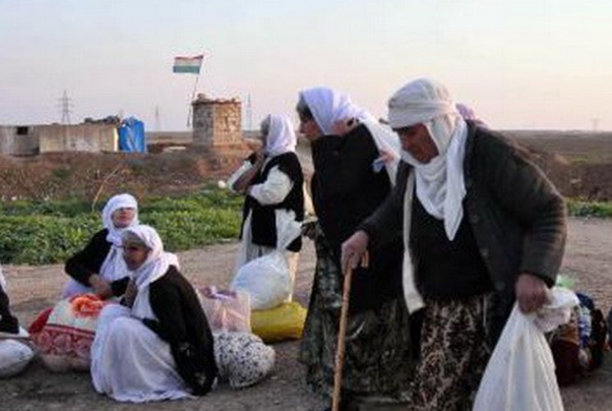 is-hanh-hinh-hon-800-phu-nu