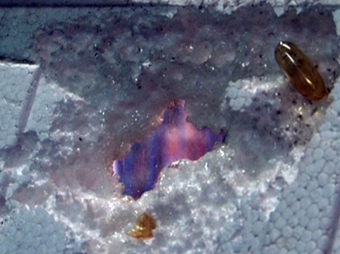 dau-ca-omega-3-an-thung-xop