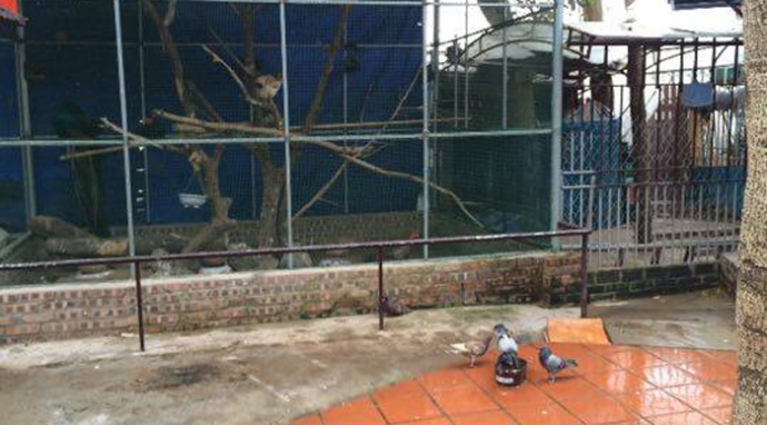 12767373_10204202150573662_1498040026_n