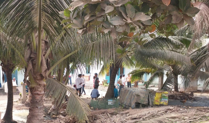 no-sung-pha-truong-ga