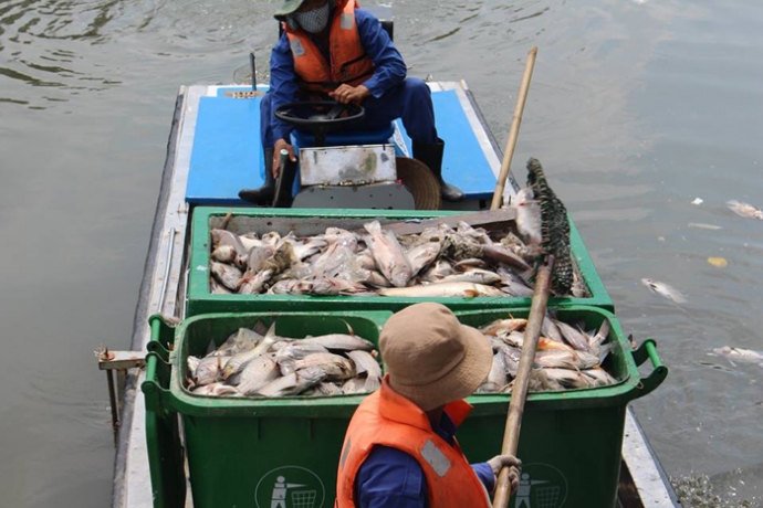 ca-chet-nhieu-loc-10