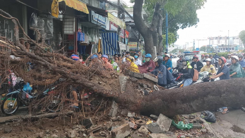 34822160_1684475641670673_691262024079900672_n