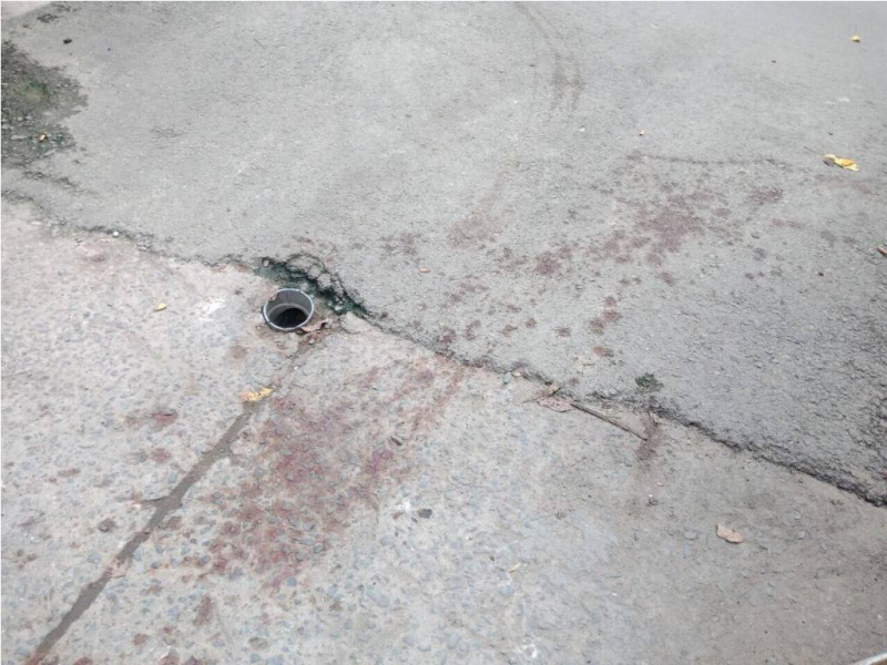 35744144_1839391796154172_6020482733724139520_n