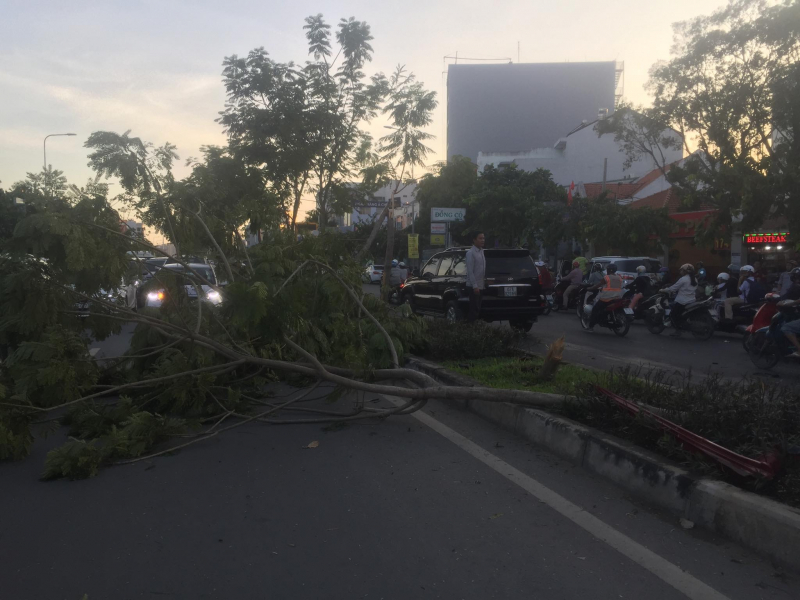 50240883_362580211207249_2205502986812129280_n