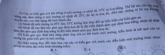 13595961_1161376663914439_1776842869_n