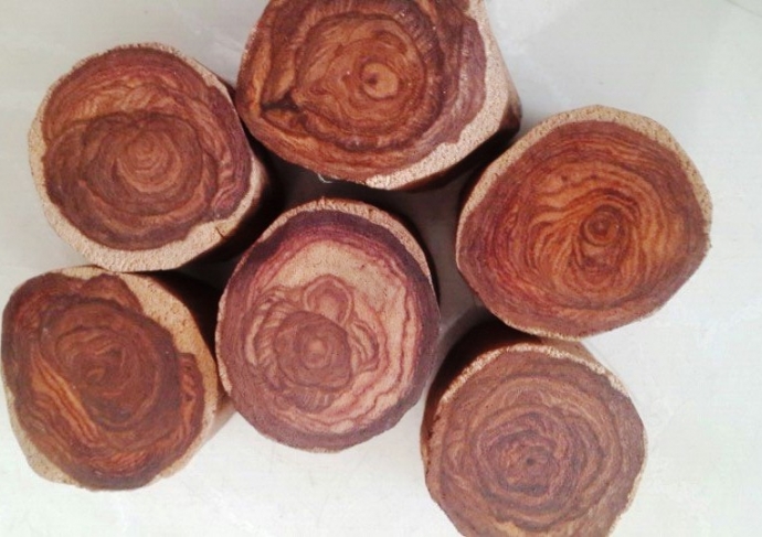 vi-sao-go-sua-la-loai-go-phong-thuy-quy-hiem-2