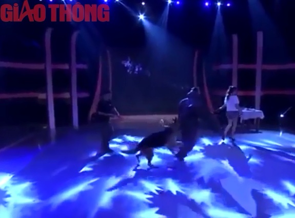 M&agrave;n để cho ch&oacute; b&eacute;c gi&ecirc; Đức cắn x&eacute; &aacute;o kho&aacute;c.