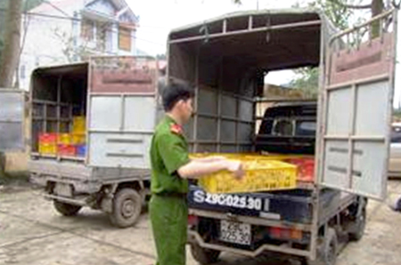 M&ocirc;̣t chi&ecirc;́c xe chở gia c&acirc;̀m l&acirc;̣u bị bắt