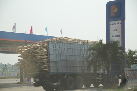 Xe chở c&acirc;y bạch đ&agrave;n