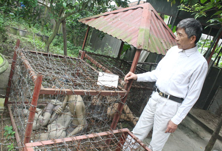 &Ocirc;ng Uỵch kể lại những lần bị giam c&ugrave;m trong chuồng cọp ở nh&agrave; t&ugrave; Ph&uacute; Quốc