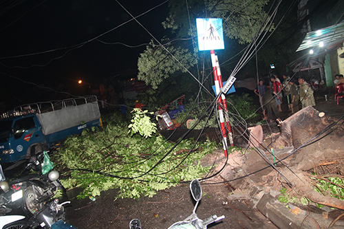 C&acirc;y đổ l&agrave;m đứt h&agrave;ng loạt đường d&acirc;y điện, khiến hệ thống điện tại khu vực n&agrave;y bị mất tạm thời.