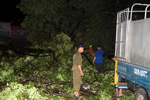 Cả l&ugrave;m c&acirc;y đổ rạp xuống đ&atilde; che gần k&iacute;n một b&ecirc;n mặt đường Trần Kh&aacute;t Ch&acirc;n.