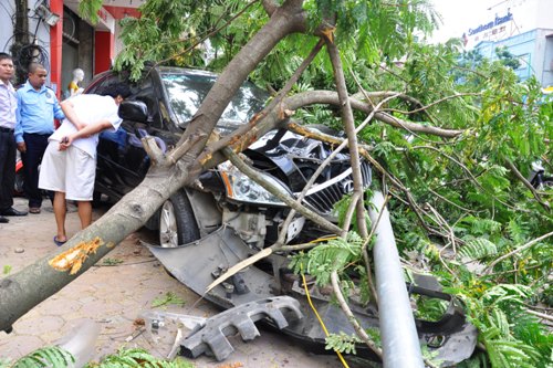 &Ocirc; t&ocirc; Lexus lao l&ecirc;n vỉa h&egrave; l&agrave;m g&atilde;y cột đ&egrave;n v&agrave; c&acirc;y phượng