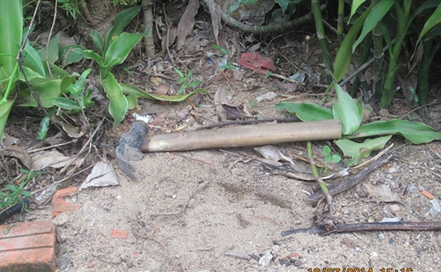 Chiếc b&uacute;a Lập d&ugrave;ng để giết b&agrave; Ngoại