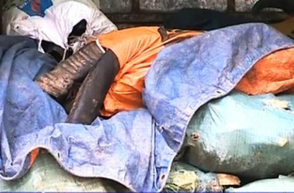 Số mỡ, xương v&agrave; sừng tr&acirc;u b&ograve; bị ph&aacute;t hiện v&agrave; bắt giữ