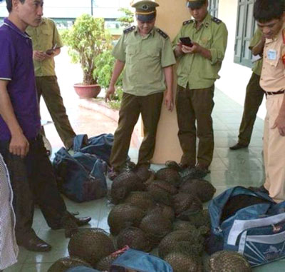 Tang vật bị thu giữ