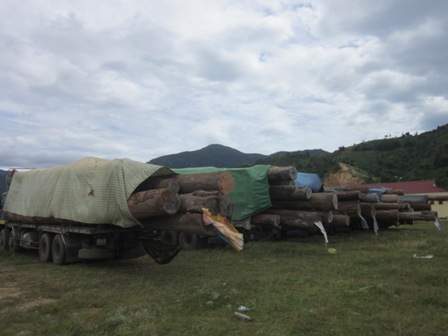 Xe n&agrave;o xe nấy lừng lững 