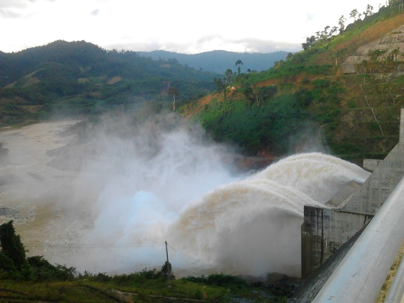 H&agrave;ng ng&agrave;n ha rừng đ&atilde; bị ph&aacute; bỏ để nhường chỗ cho thủy điện