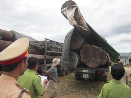 Lực lượng Kiểm l&acirc;m phối hợp kiểm tra nguồn gốc số gỗ tr&ecirc;n đo&agrave;n xe si&ecirc;u tải