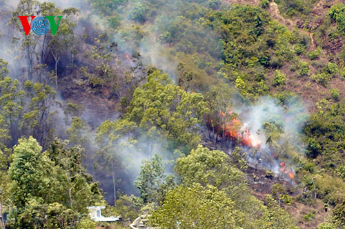 Rừng Quy Nhơn li&ecirc;n tục bị ch&aacute;y