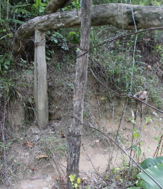 C&acirc;y trụ b&ecirc; t&ocirc;ng ở một ph&iacute;a trụ cầu vừa được gia cố th&ecirc;m để tăng sự vững chắc hơn cho c&acirc;y cầu &ldquo;tử thần&rdquo;