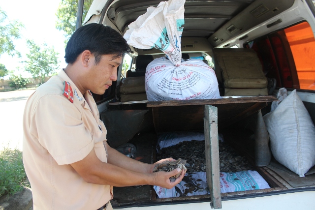 Thượng &uacute;y Trần Văn Chuy&ecirc;n đang kiểm tra số vẩy t&ecirc; t&ecirc; tr&ecirc;n xe 37A-114.00