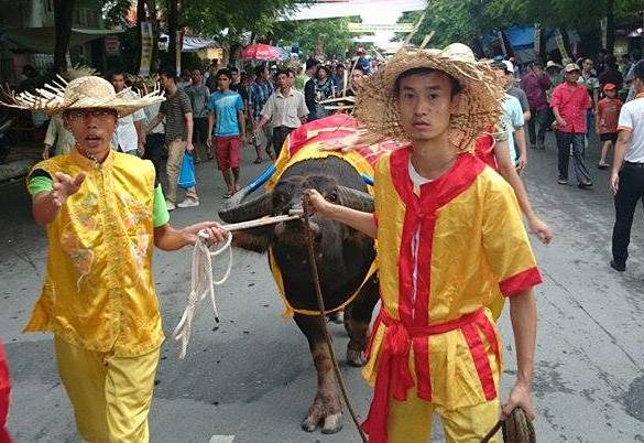 Tr&acirc;u v&agrave;o s&acirc;n vận động chuẩn bị khai cuộc