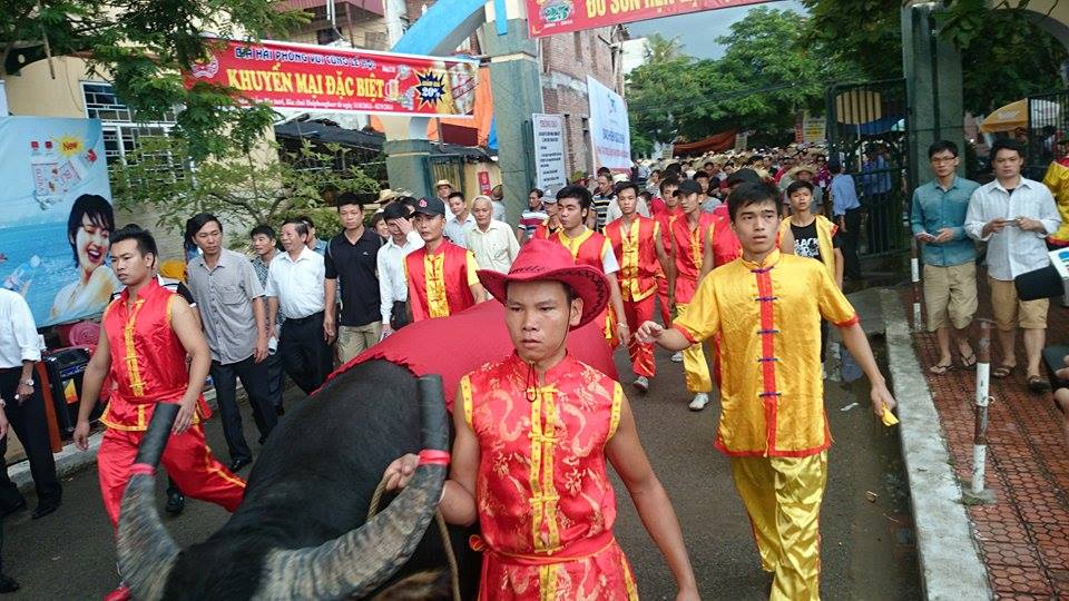 Tr&acirc;u chọi h&ugrave;ng dũng v&agrave;o trận đấu