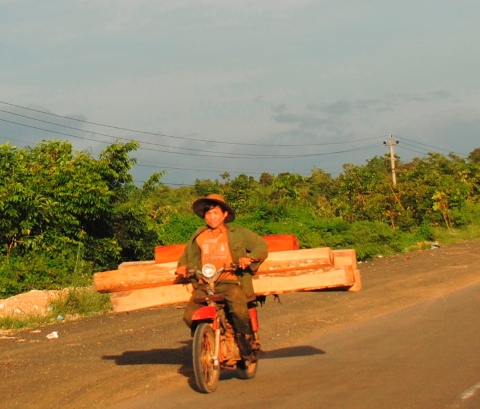 T&igrave;nh trạng chở gỗ lậu phổ biến khiến cho nhiều c&aacute;n bộ chức năng sa ng&atilde; bởi l&ograve;ng tham